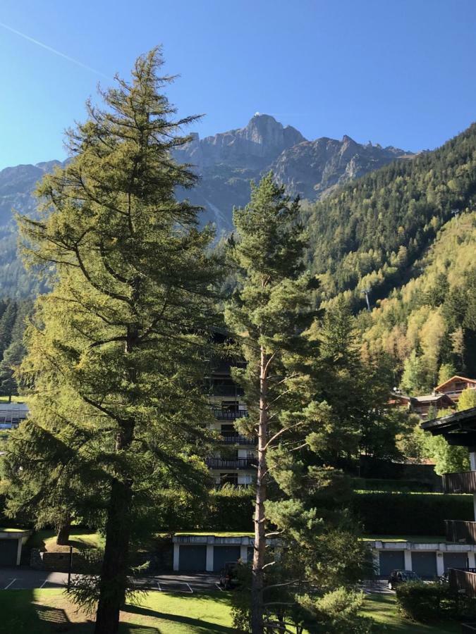 Apartmán Brevent - Meleze Chamonix Exteriér fotografie